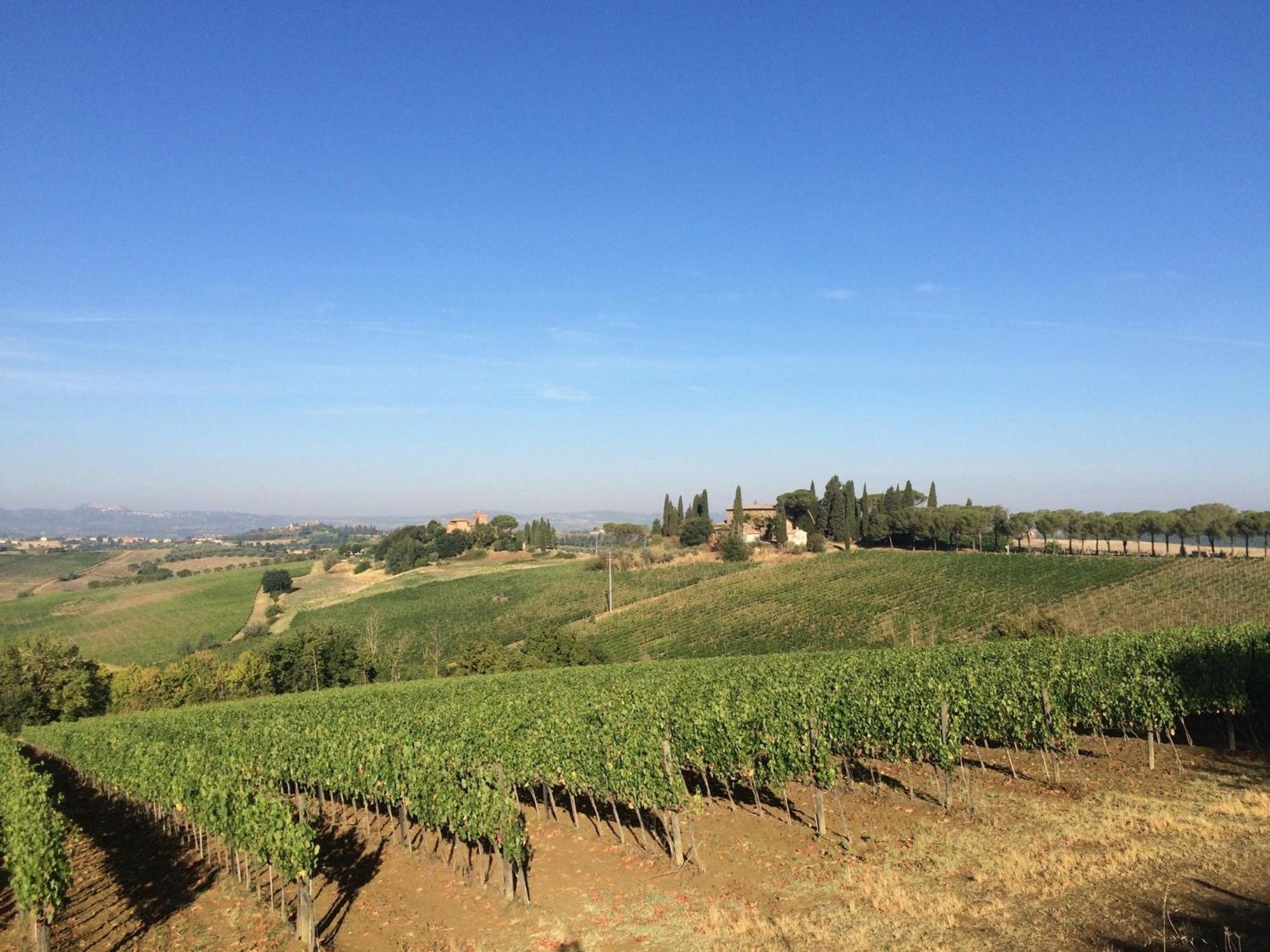 הוילה Valiano Agriturismo I Fuochi מראה חיצוני תמונה